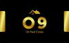 O9Realestate Shqq Llaijar Fi Astnbwl Shishli  Shrkah In   