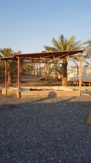 Farm For Rent In Hamraniyah - Ras Al Khaimah - Ras al Khaimah