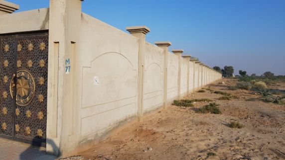 Farm For Rent In Hamraniyah - Ras Al Khaimah - Ras al Khaimah