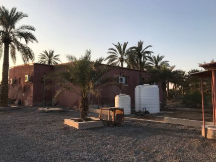 Farm For Rent In Hamraniyah - Ras Al Khaimah - Ras al Khaimah