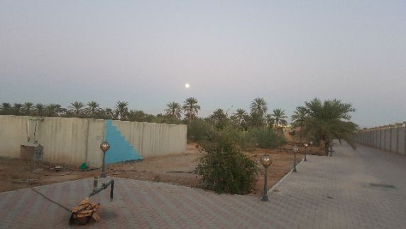Farm For Rent In Hamraniyah - Ras Al Khaimah - Ras al Khaimah