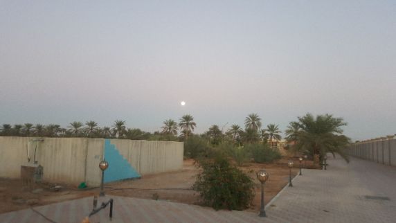 Farm For Rent In Hamraniyah - Ras Al Khaimah - Ras al Khaimah