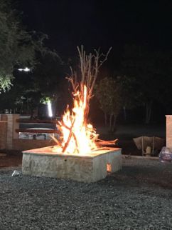 Farm For Rent In Al Manama - Ajman