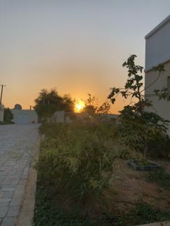 Farm For Rent In Al Halio - Ajman - Ajman