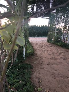 Farm For Rent In Al Halio - Ajman - Ajman