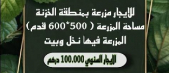 مزرعة للإيجار فى أبو ظبي - أبو ظبي