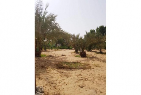 Villa For Rent In Ajman - Ajman