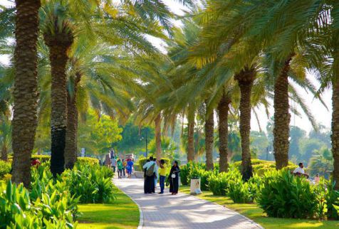 شقة للإيجار فى جميرا - دبي - دبيّ