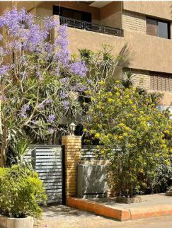 عمارة للإيجار فى الدقى - الجيزة