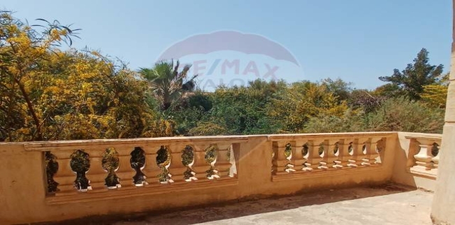Villa For Sale In King Maryut - Qesm Al Amereyah - Alexandria