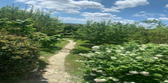 فيلا للبيع فى بيوك جكمجة - إسطنبول