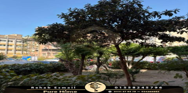 مكتب للإيجار فى سموحة - قسم سيدى جابر - الإسكندرية