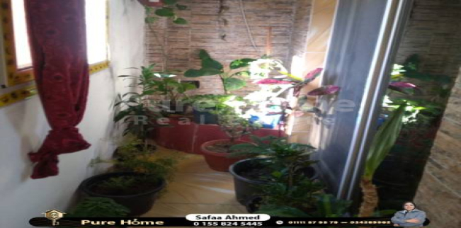 شقة للإيجار